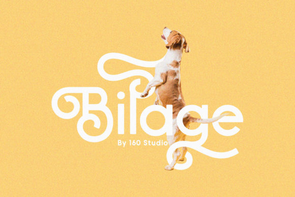 Bilage: A Handwritten Font for Campaign Creativity