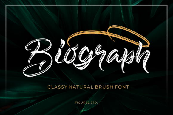 Biograph: A Script Font for Modern Branding and Creative Projects