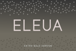 Eleua Extra Bold: A Clean Sans Serif for Modern Branding