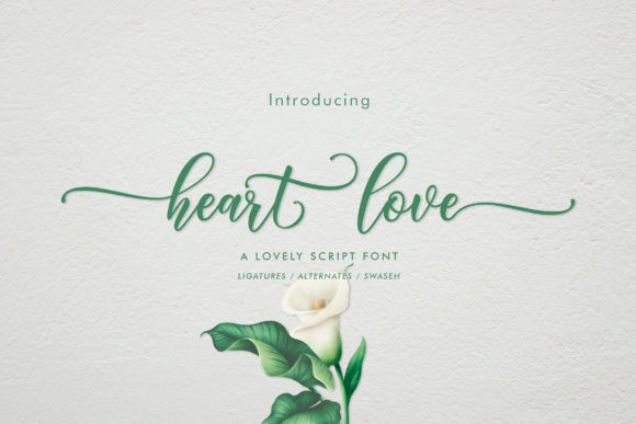 Heart Love Font for Business Branding
