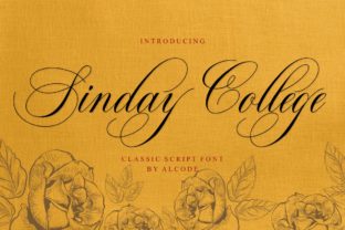 Sinday College Font for Effortless Campaign Design